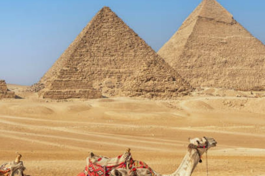 istockphoto 1447576401 612x612 1