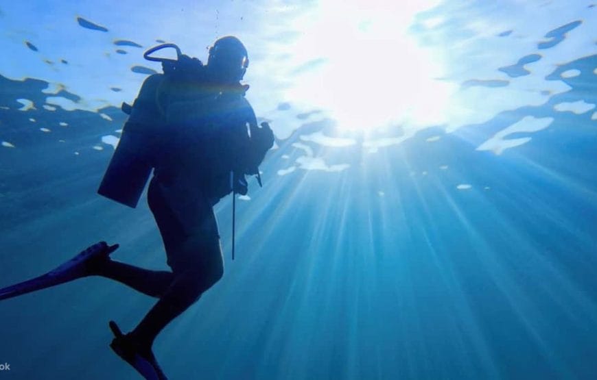 Plongée SOUS MARINE