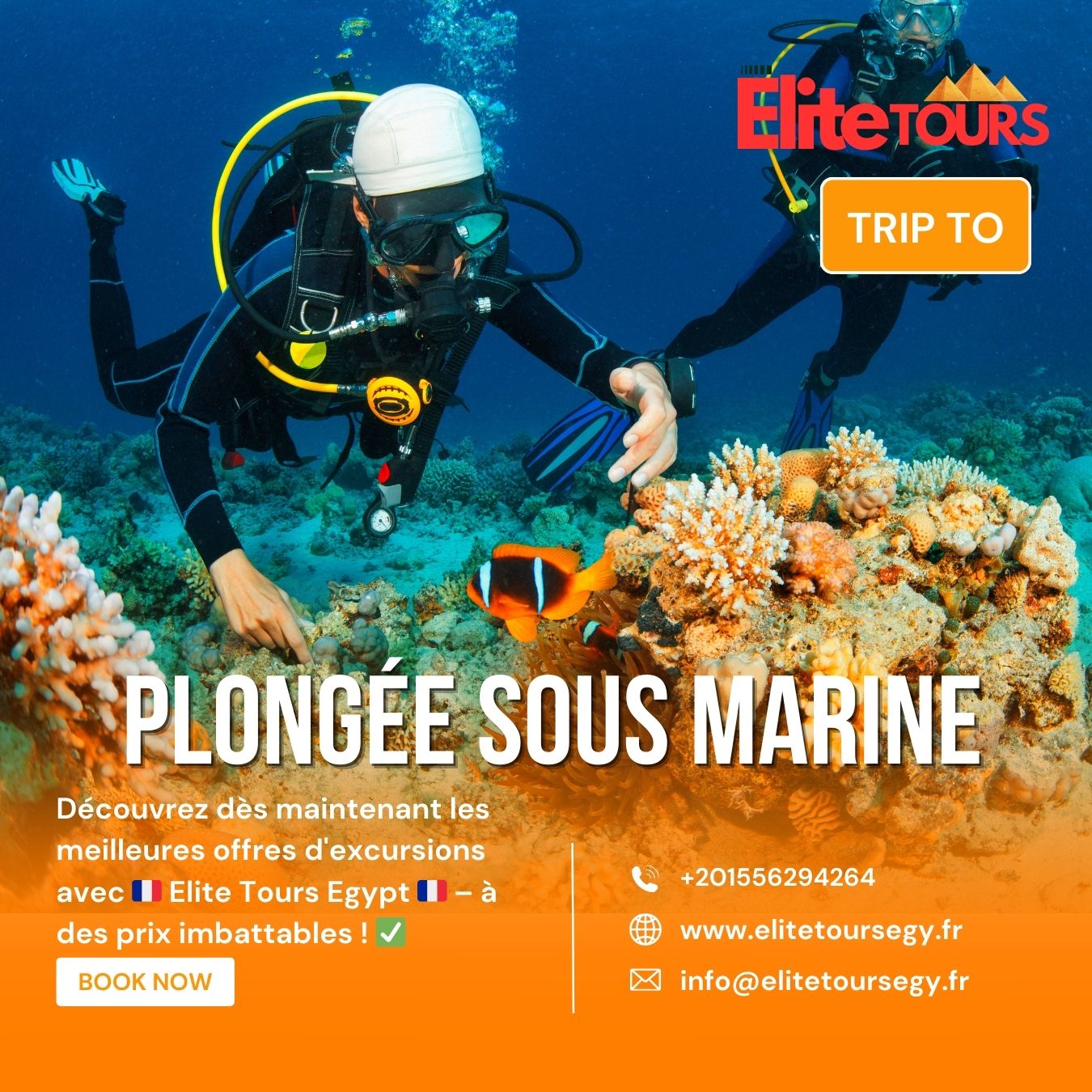 Plongée Sous Marine