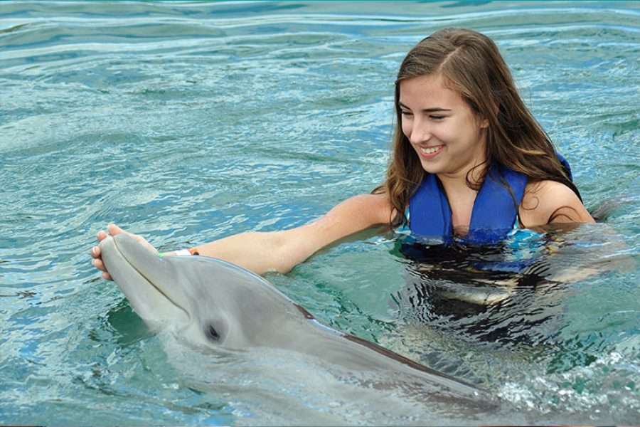 NAGER AVEC LES DAUPHINS