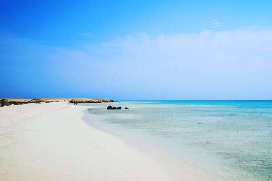 Visite de la plage de* Sharm el Lulli (Ras Hankorab) * de Marsa Alam